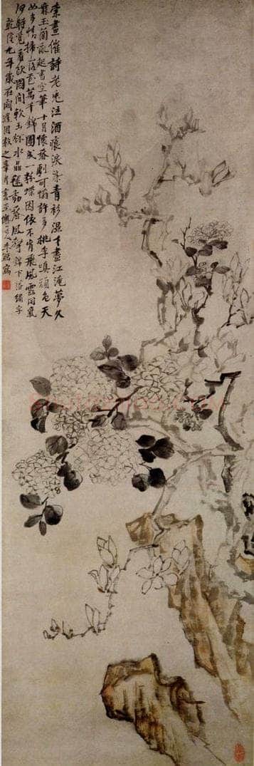 清 李鱓 《玉兰绣球》 书画作品