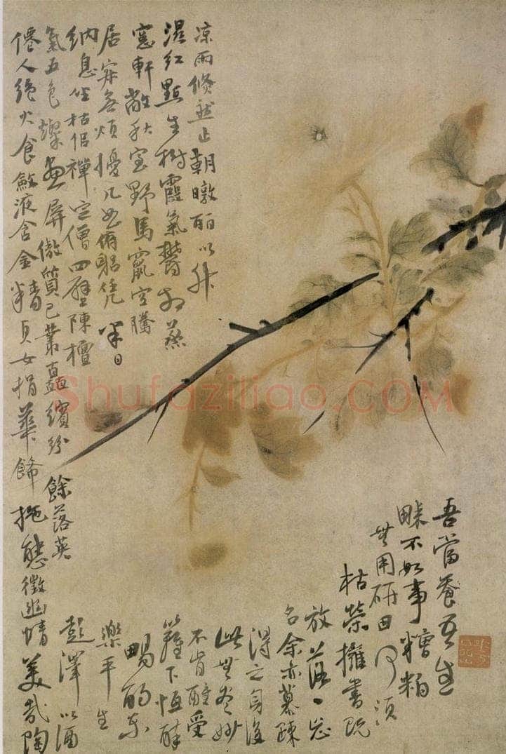 清 华喦 《菊花图》 书画作品