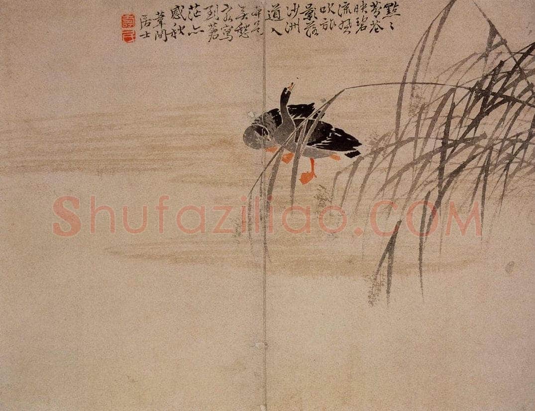 1748年 边寿民 《芦雁图册》 书画作品
