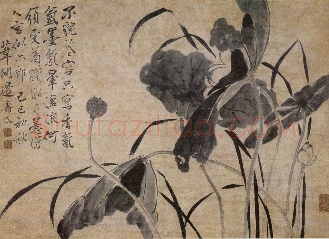 1749年 边寿民 《墨荷图》 书画作品