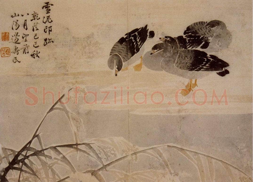 1749年 边寿民 《芦雁册》 书画作品