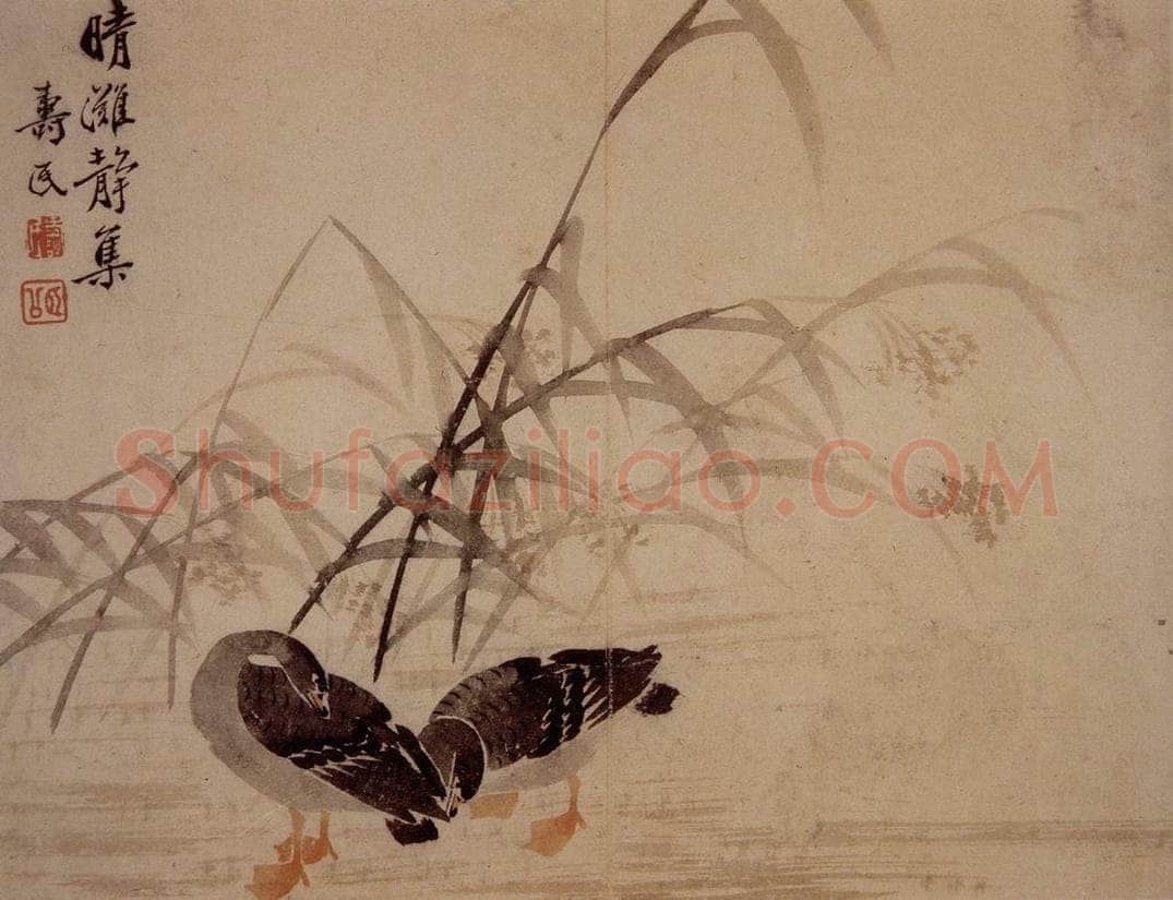 1749年 边寿民 《芦雁册》 书画作品