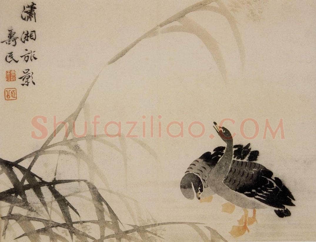 1749年 边寿民 《芦雁册》 书画作品