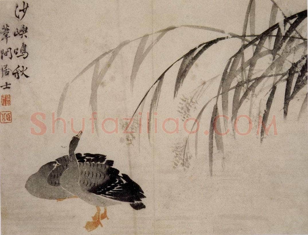 1749年 边寿民 《芦雁册》 书画作品