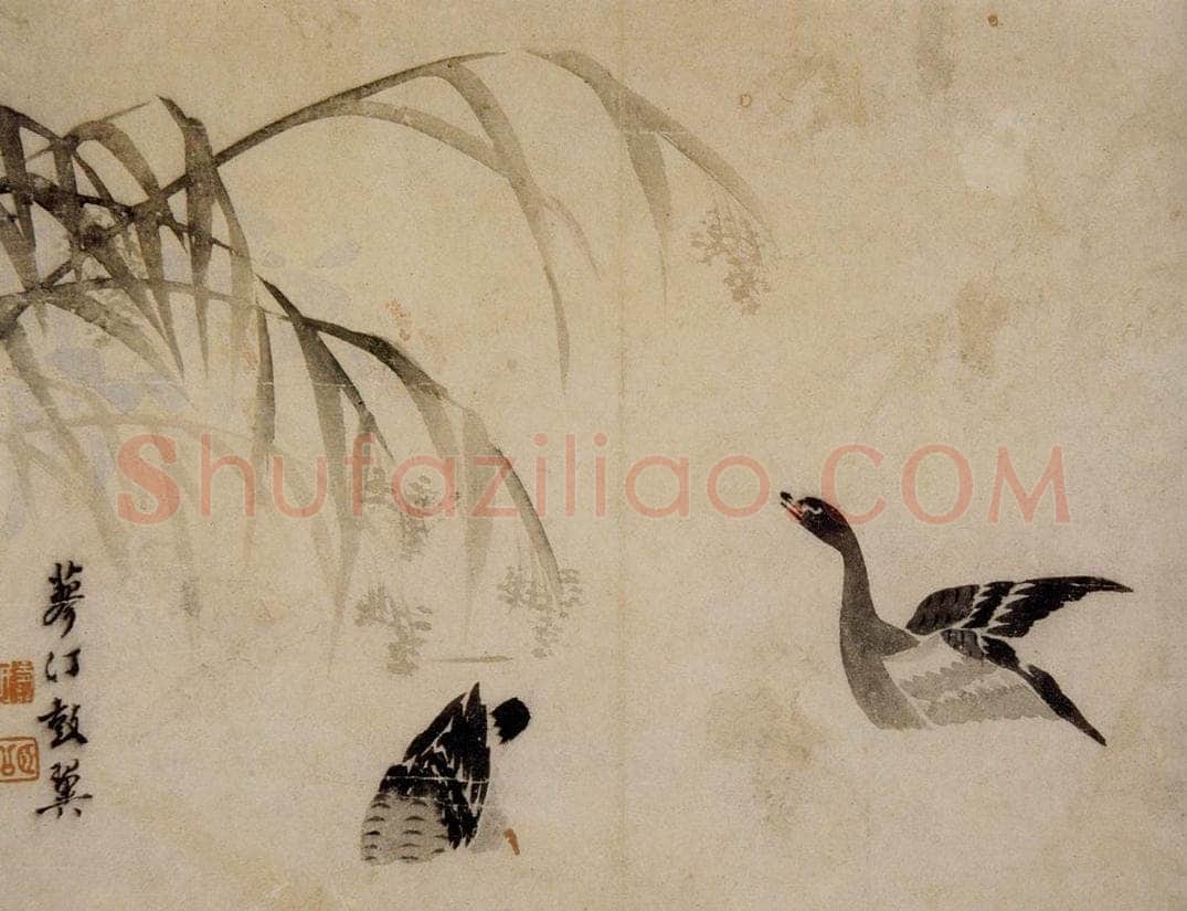 1749年 边寿民 《芦雁册》 书画作品