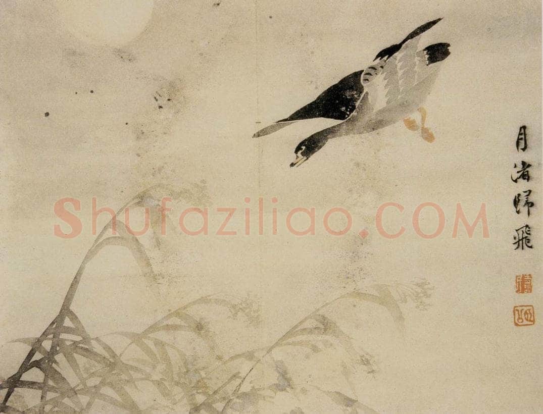 1749年 边寿民 《芦雁册》 书画作品