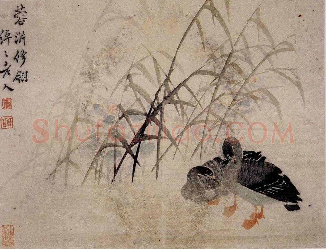 1749年 边寿民 《芦雁册》 书画作品