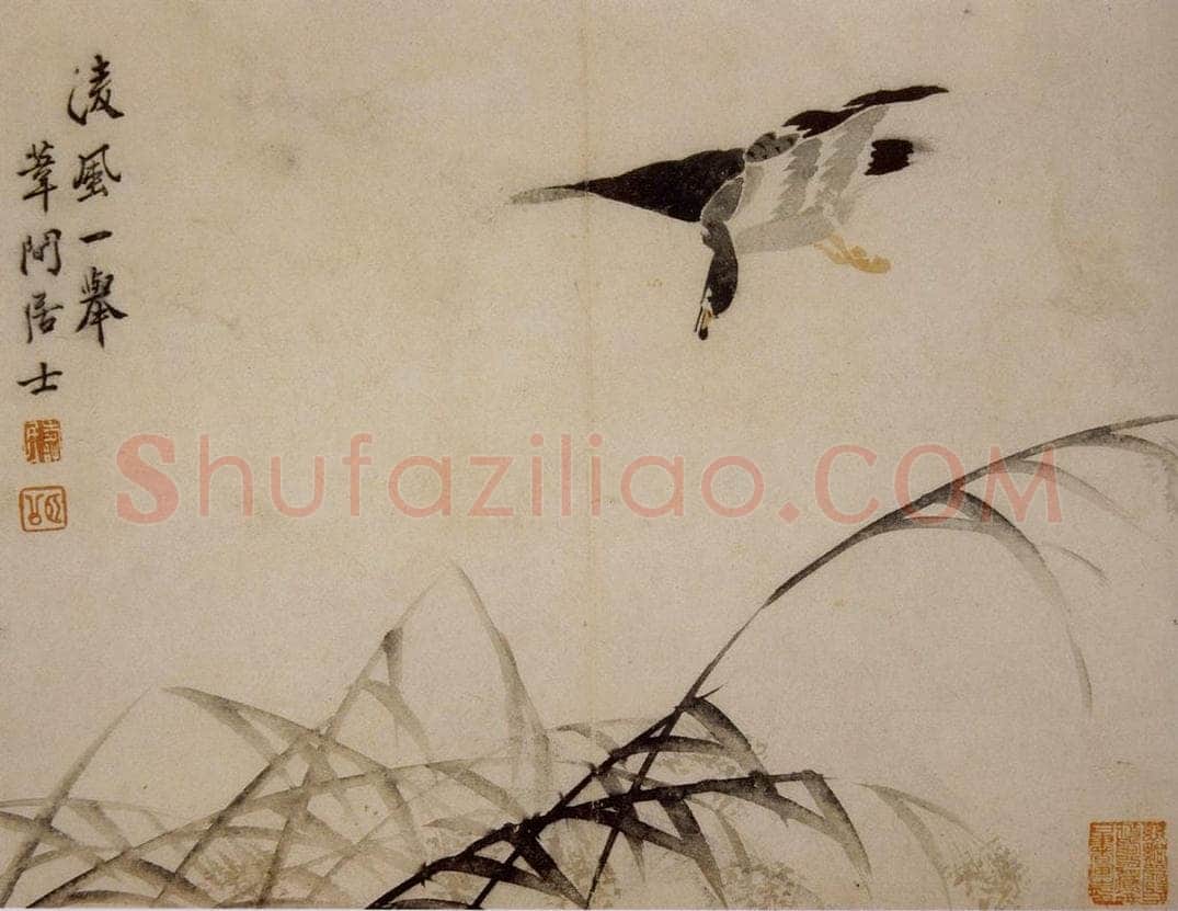 1749年 边寿民 《芦雁册》 书画作品