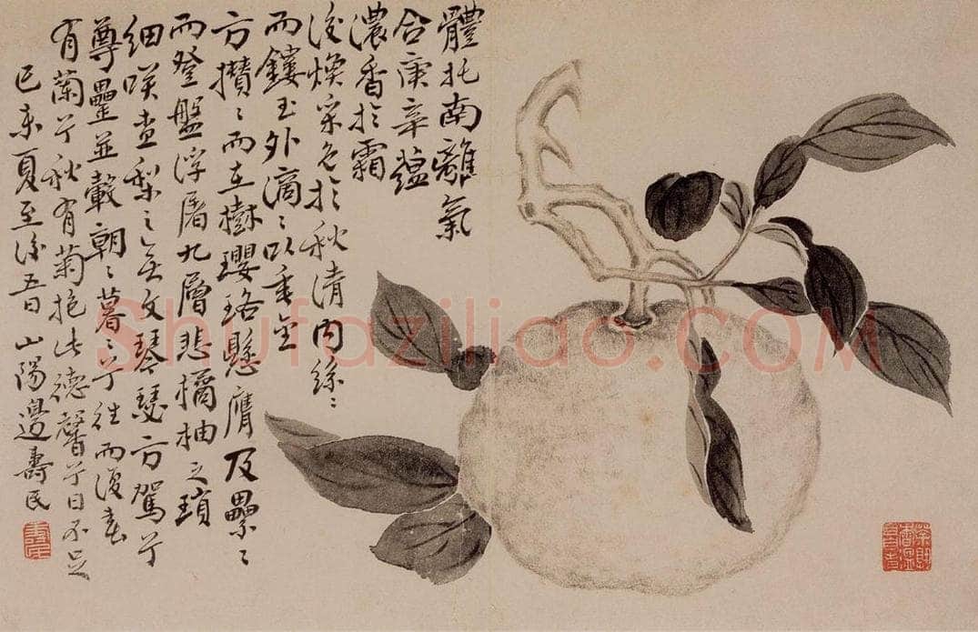 1751年 边寿民 《花卉芦雁册》 书画作品