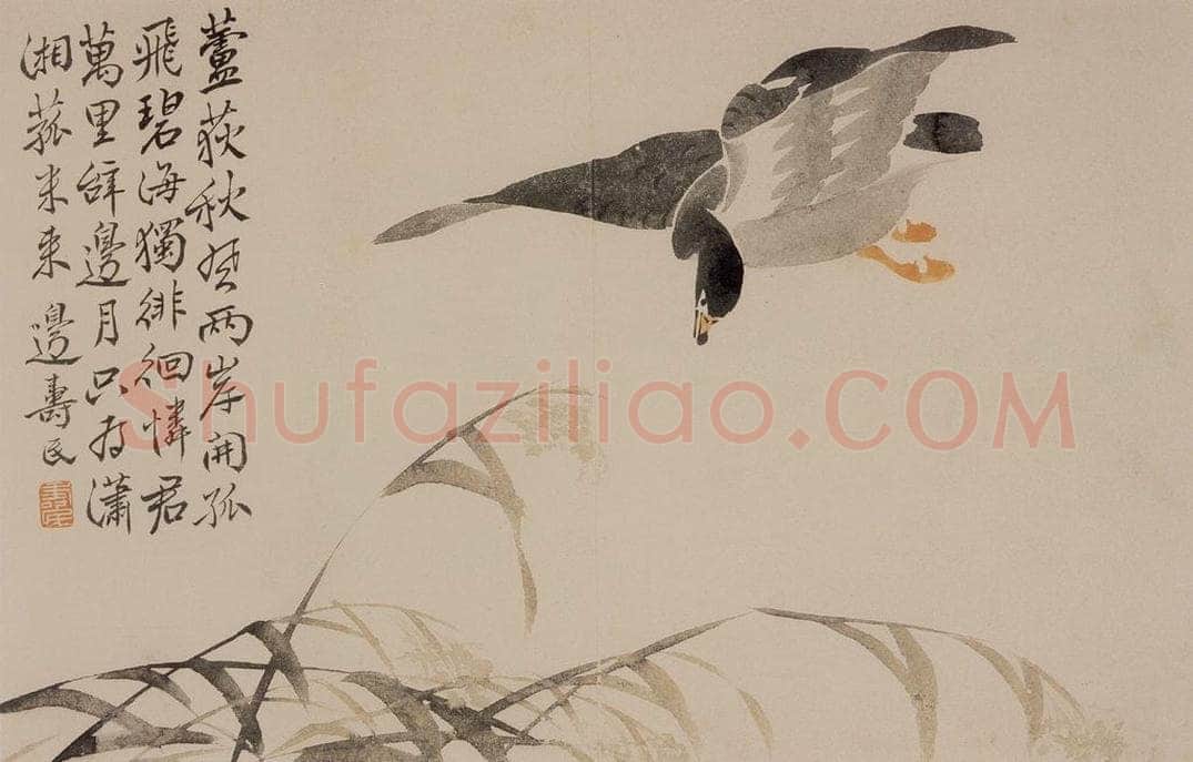 1751年 边寿民 《花卉芦雁册》 书画作品
