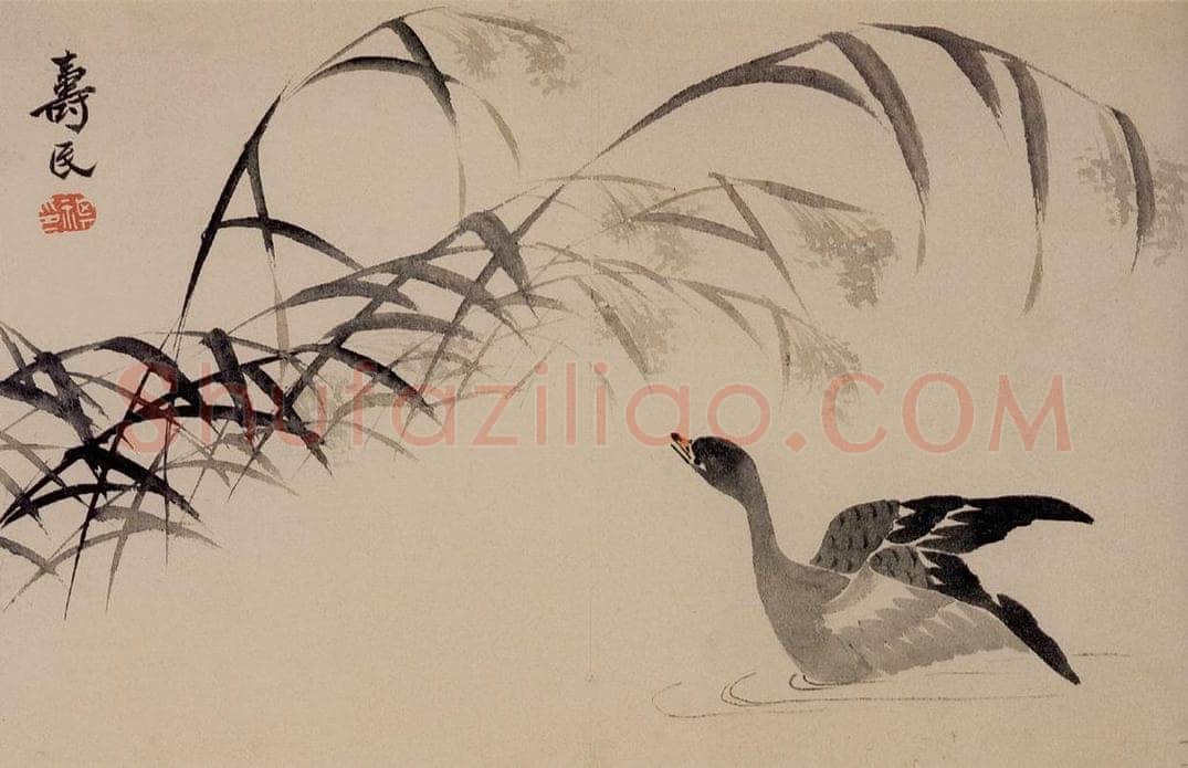 1751年 边寿民 《花卉芦雁册》 书画作品