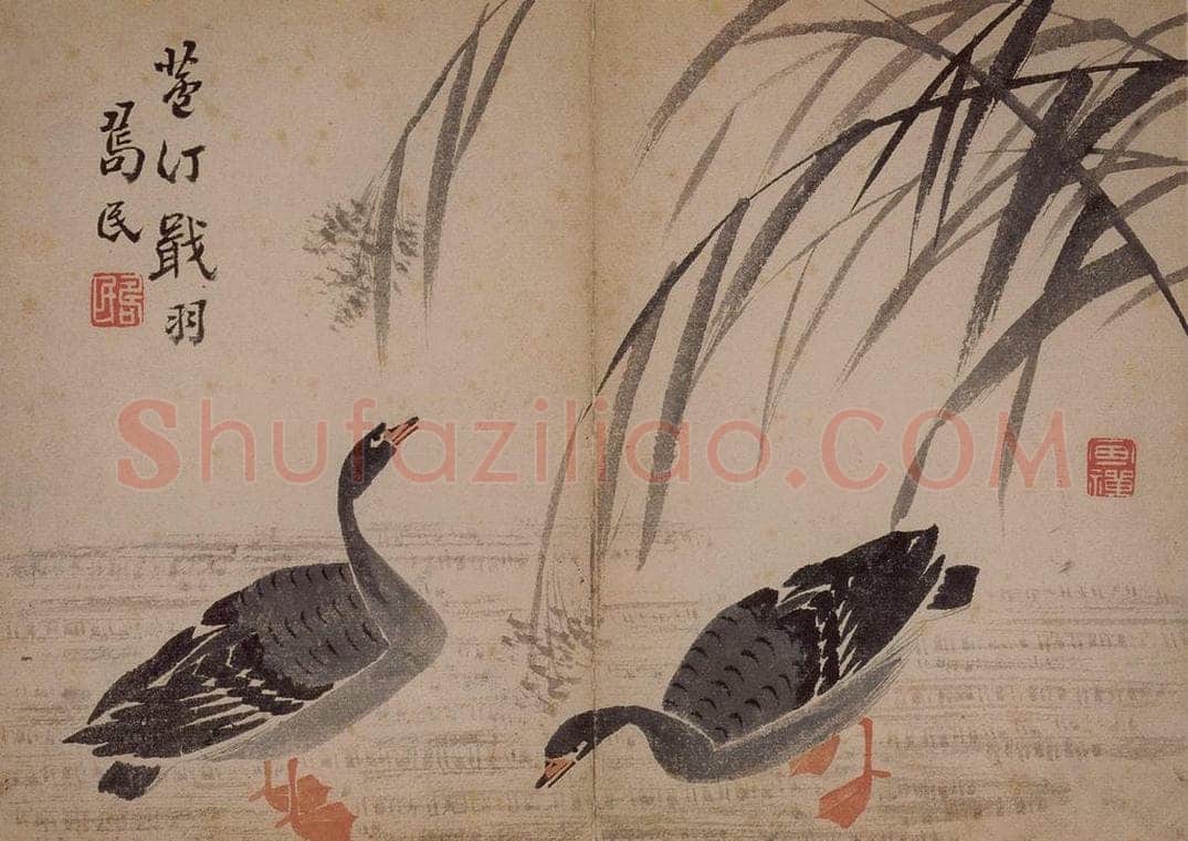 1751年 边寿民 《杂画册》 书画作品