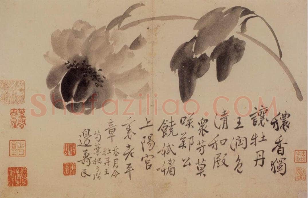  边寿民 《花卉册》 书画作品
