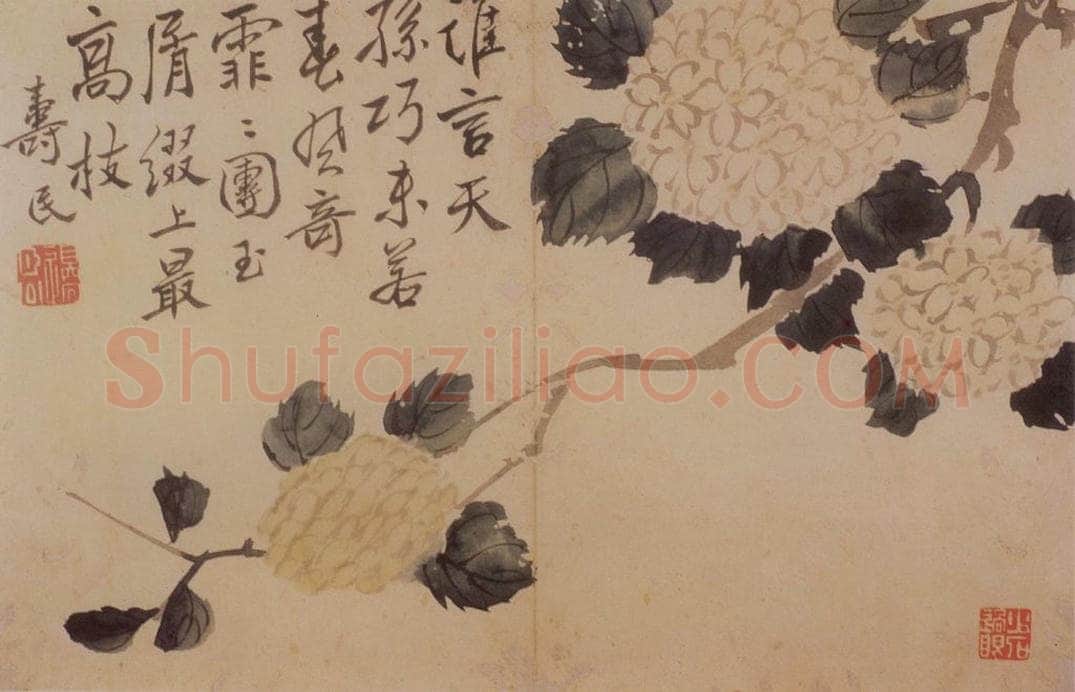 边寿民 《花卉册》 书画作品