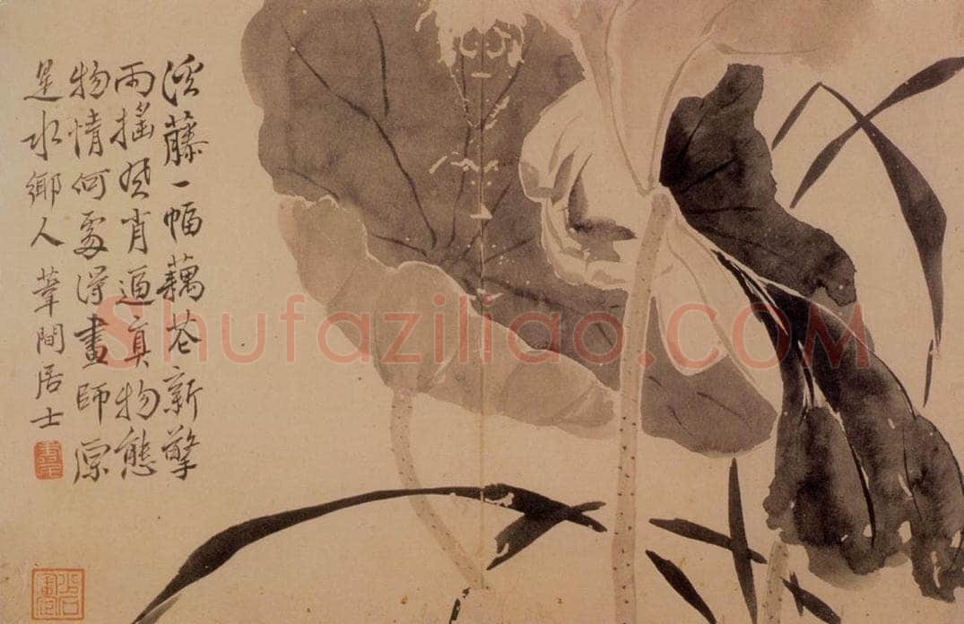  边寿民 《花卉册》 书画作品