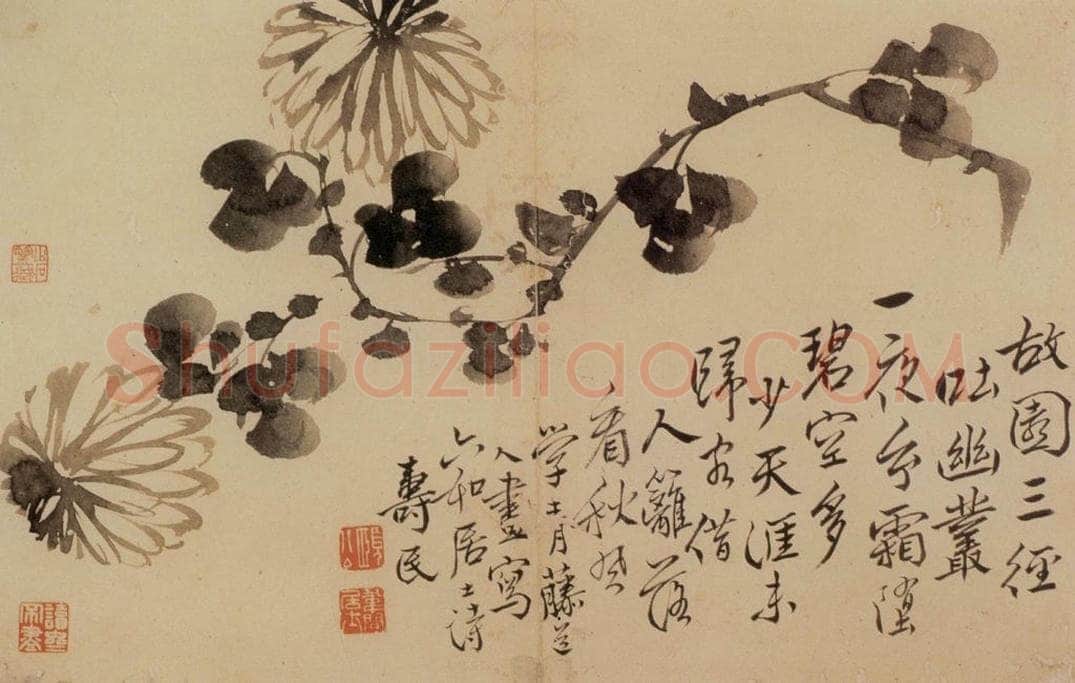 边寿民 《花卉册》 书画作品