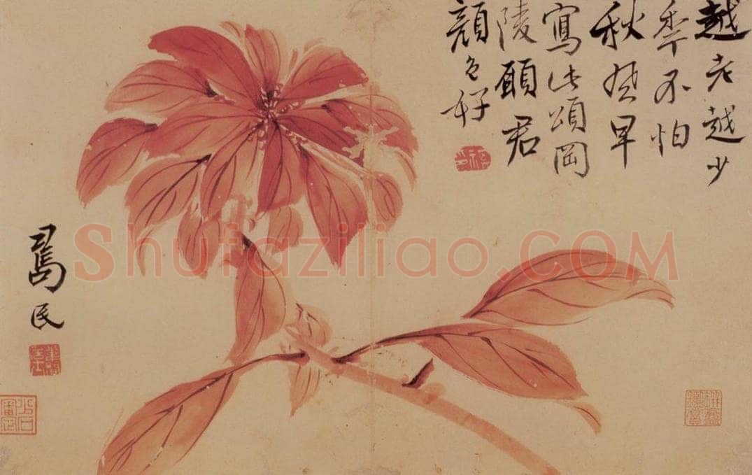  边寿民 《花卉册》 书画作品