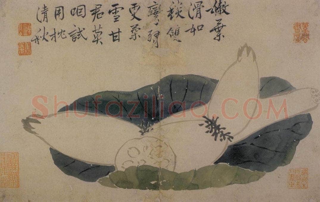 边寿民 《花卉册》 书画作品