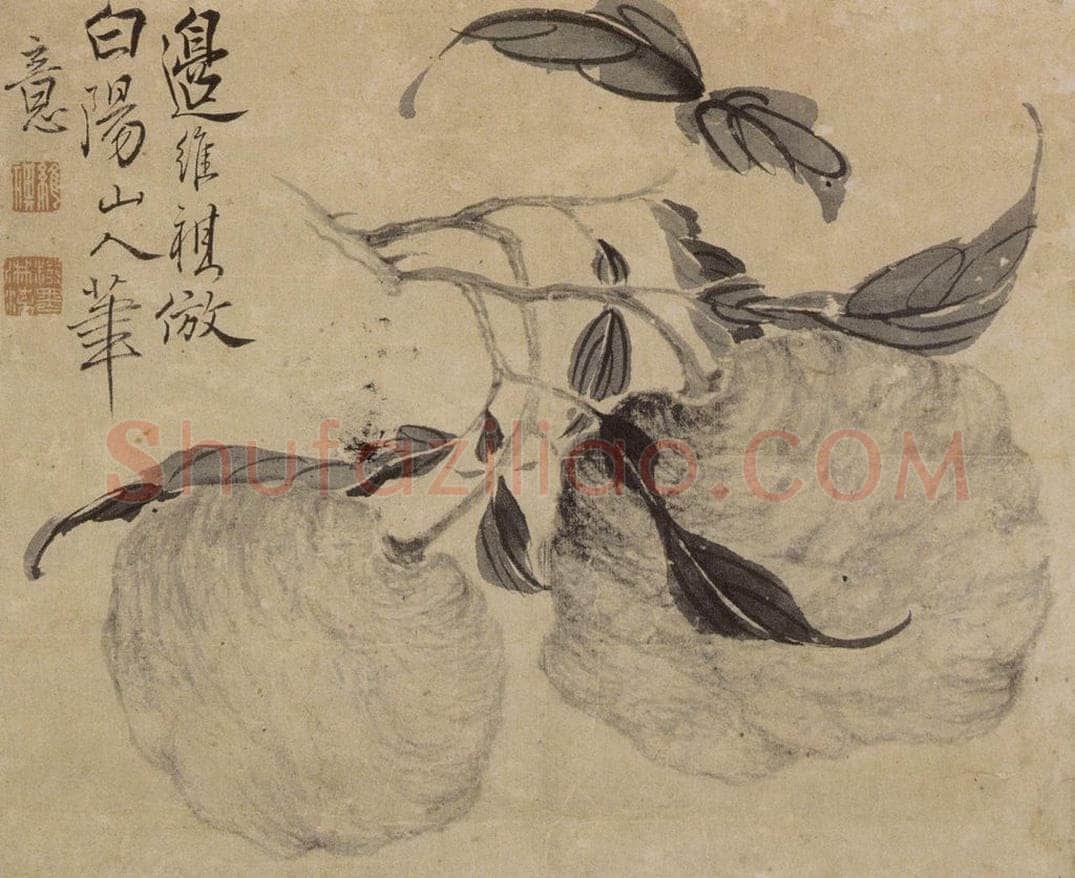 边寿民 《瓜果图》 书画作品
