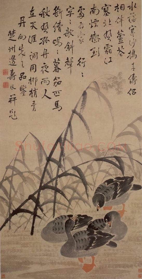 边寿民 《芦雁图》 书画作品