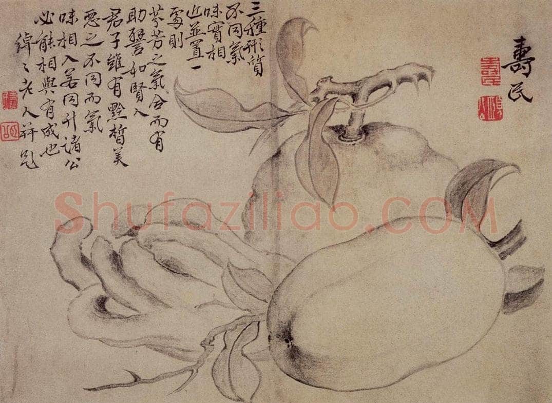  边寿民 《白描花果册》 书画作品