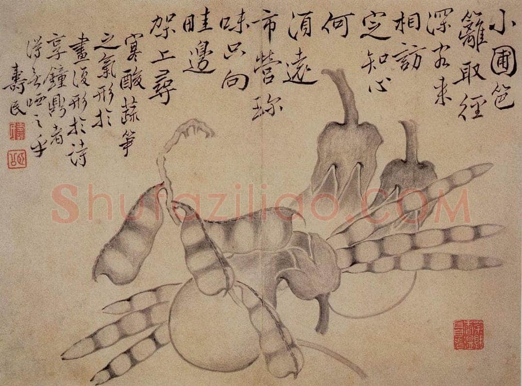 边寿民 《白描花果册》 书画作品