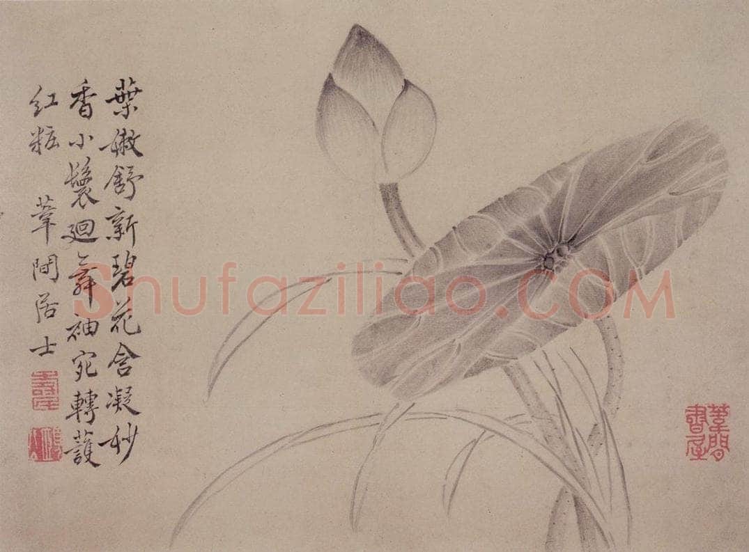 边寿民 《白描花果册》 书画作品