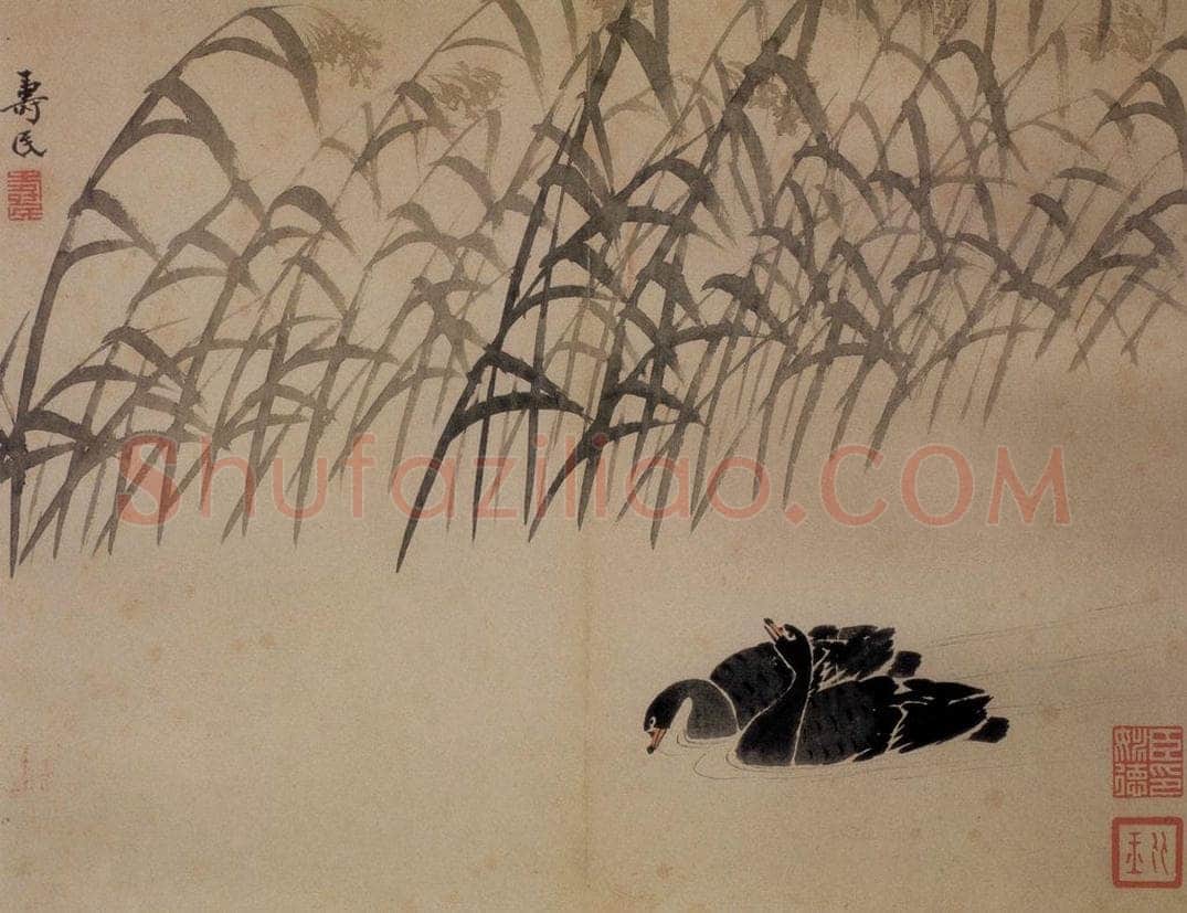 边寿民 《芦雁图册》 书画作品