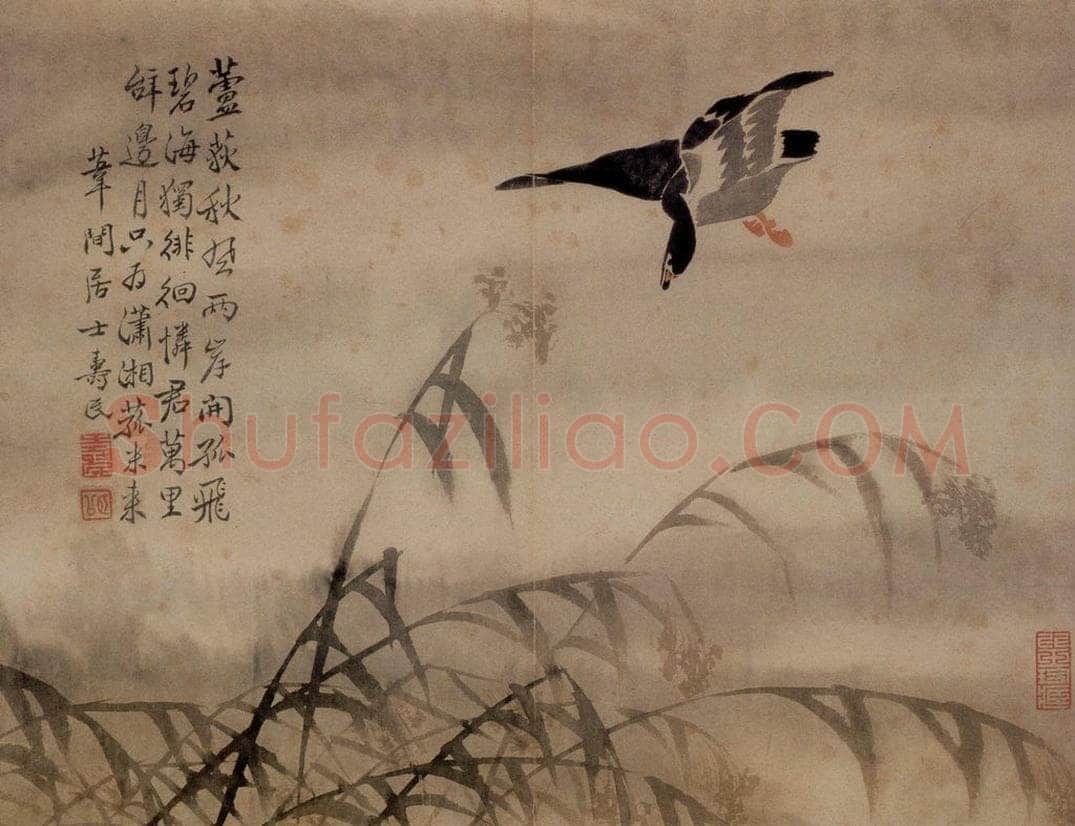  边寿民 《芦雁图册》 书画作品