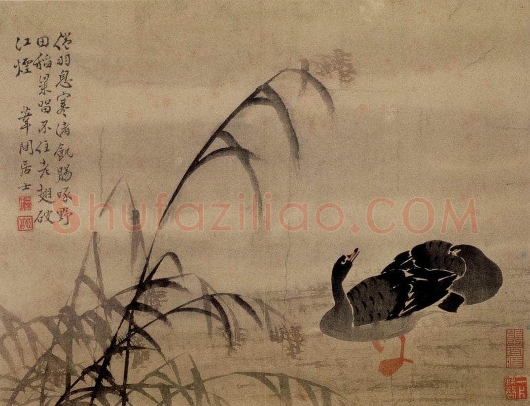  边寿民 《芦雁图册》 书画作品