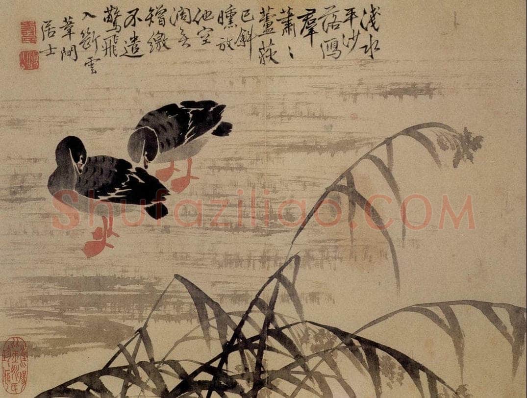  边寿民 《芦雁图册》 书画作品