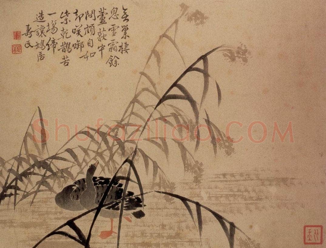  边寿民 《芦雁图册》 书画作品