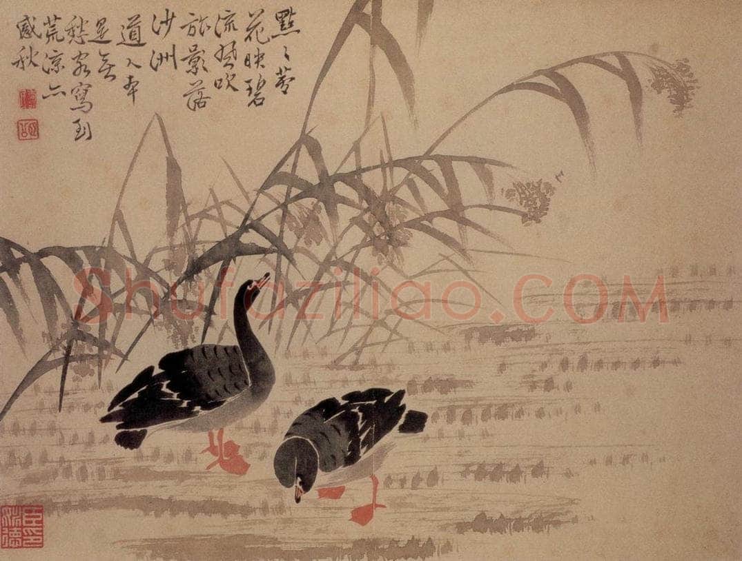 边寿民 《芦雁图册》 书画作品
