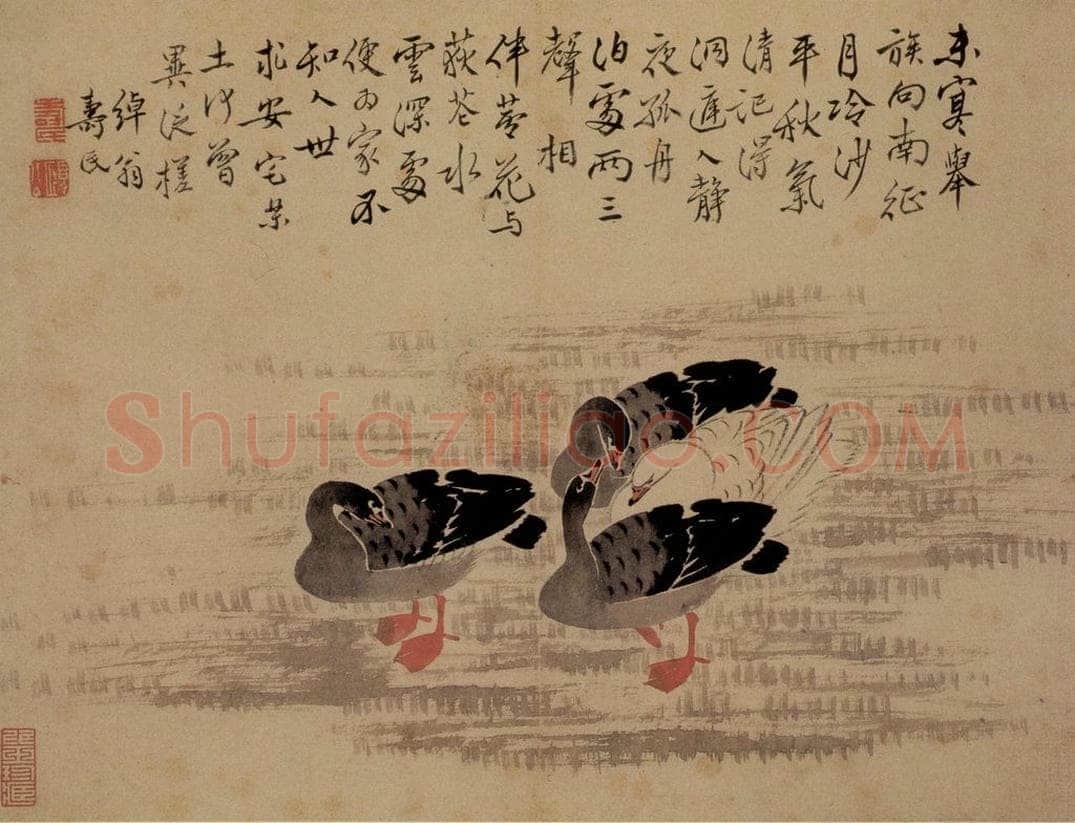边寿民 《芦雁图册》 书画作品