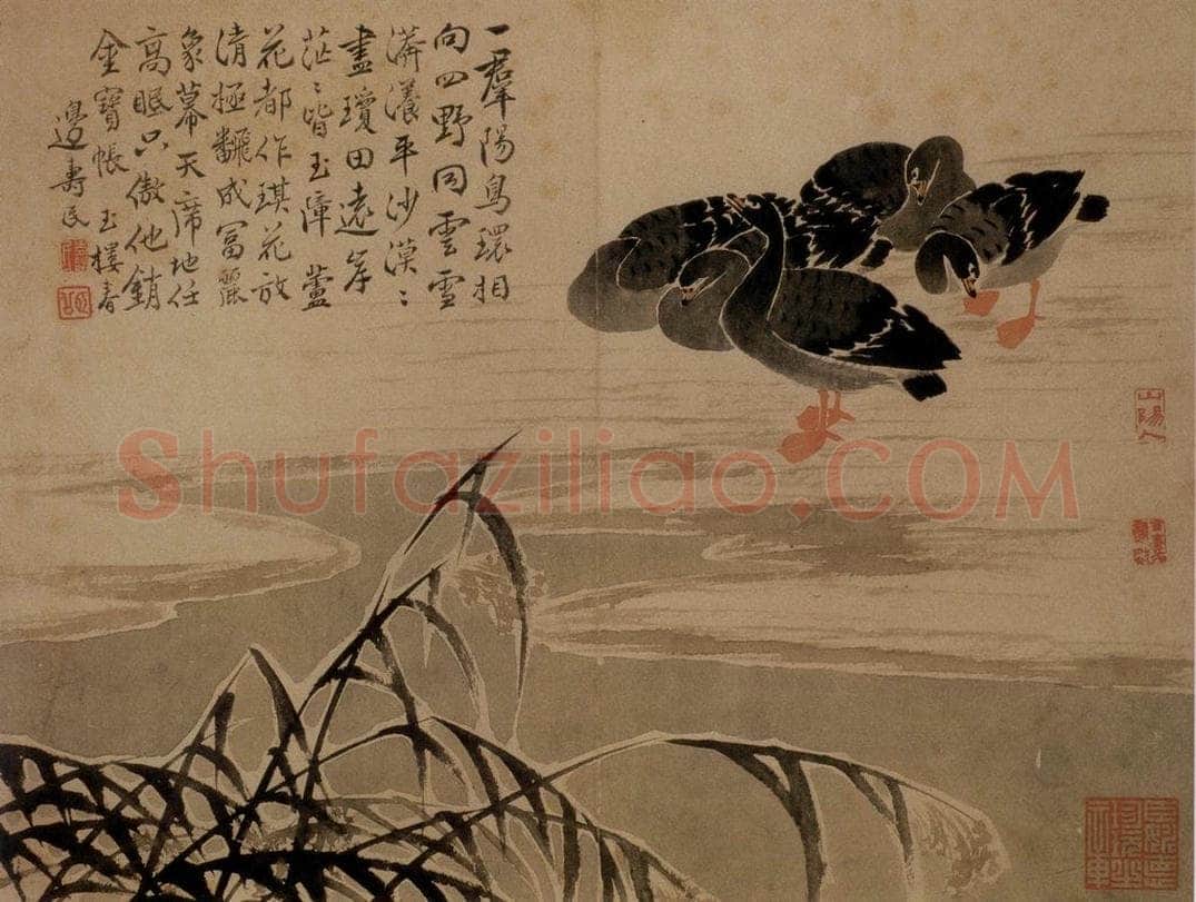 边寿民 《芦雁图册》 书画作品