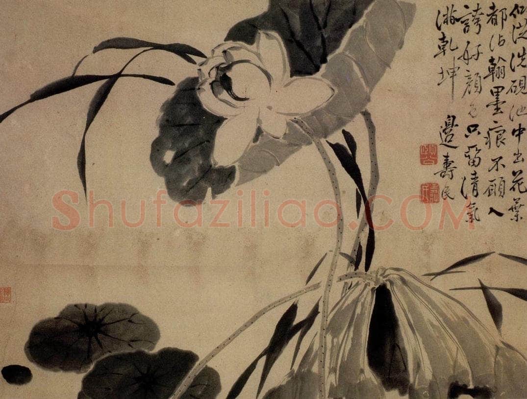 边寿民 《荷花图》 书画作品