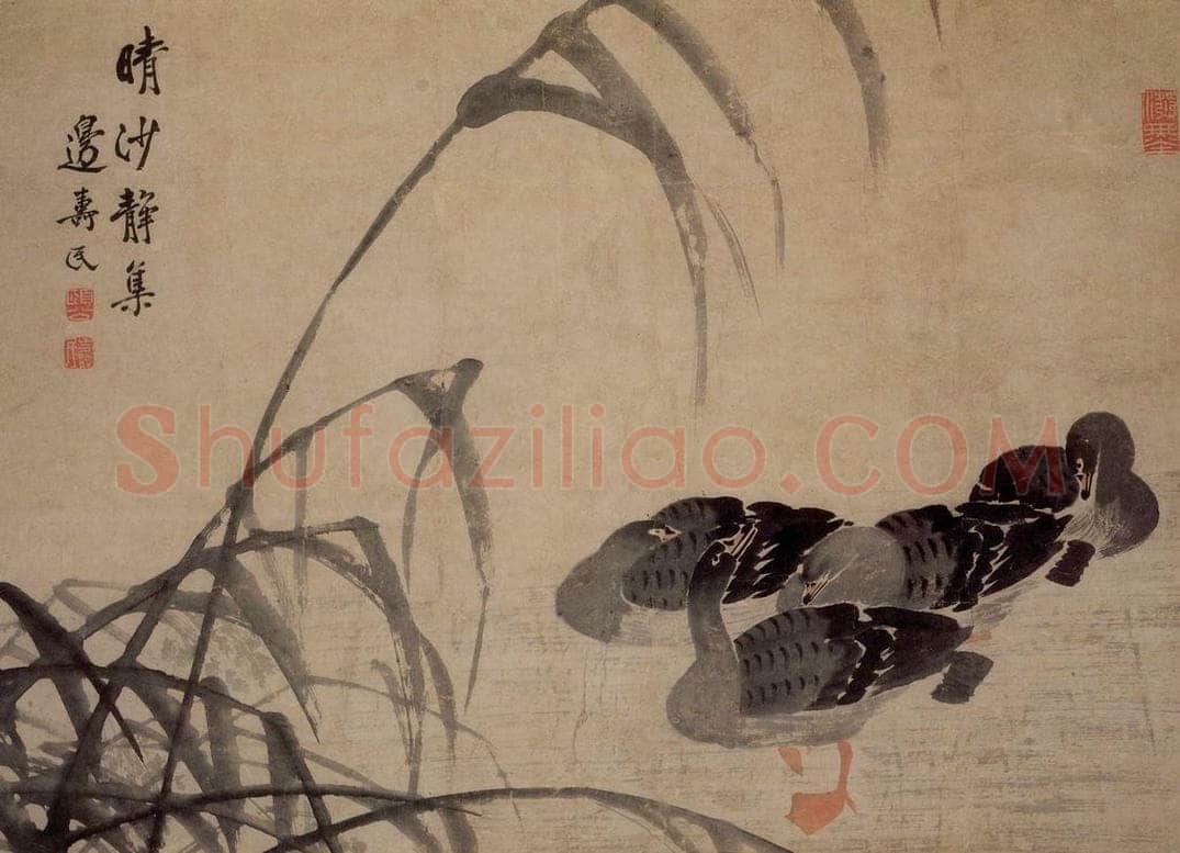 边寿民 《晴沙静集图》 书画作品
