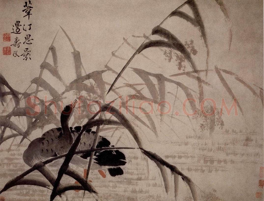  边寿民 《苇汀息影图》 书画作品