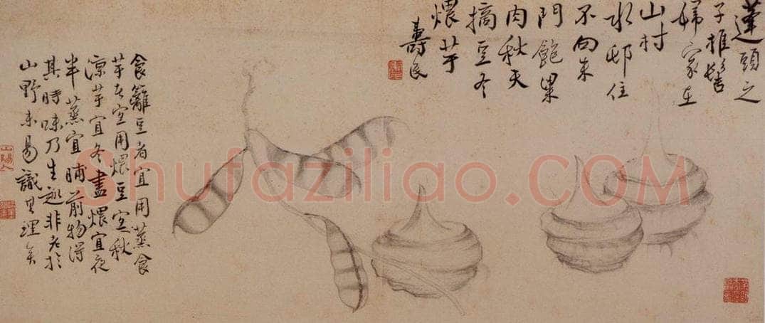  边寿民 《杂画册》 书画作品