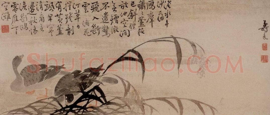 边寿民 《杂画册》 书画作品