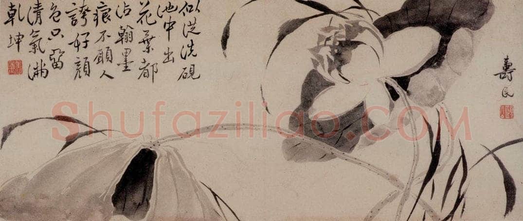 边寿民 《杂画册》 书画作品
