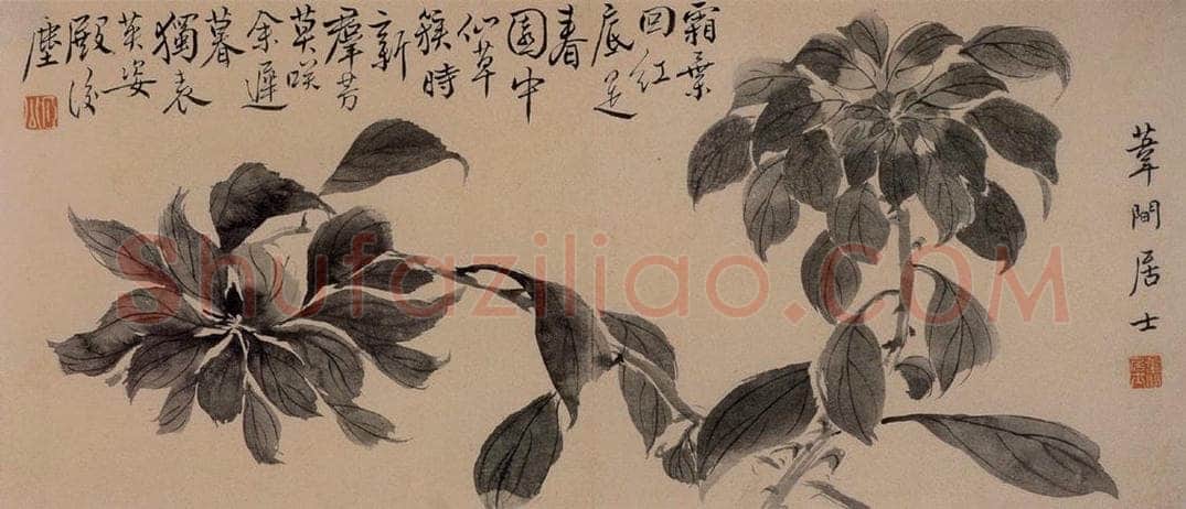  边寿民 《杂画册》 书画作品
