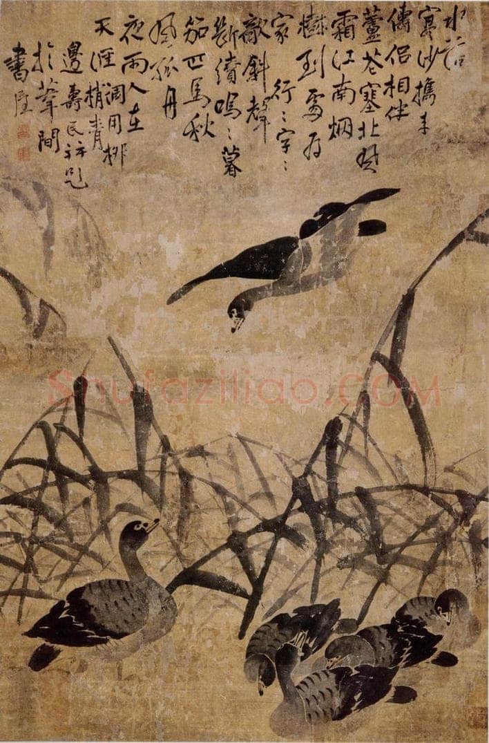  边寿民 《芦汀雁图》 书画作品