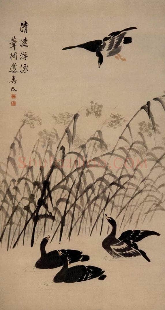  边寿民 《清涟游泳图》 书画作品