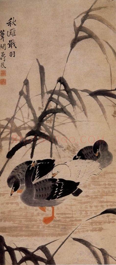 边寿民 《秋滩戢羽图》 书画作品