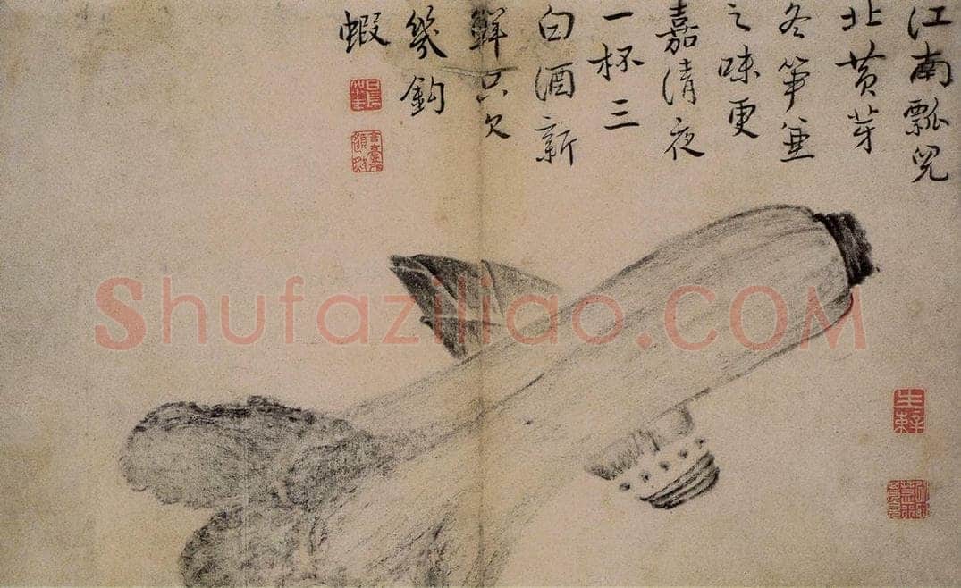 1725年 边寿民 《蔬果册》 书画作品