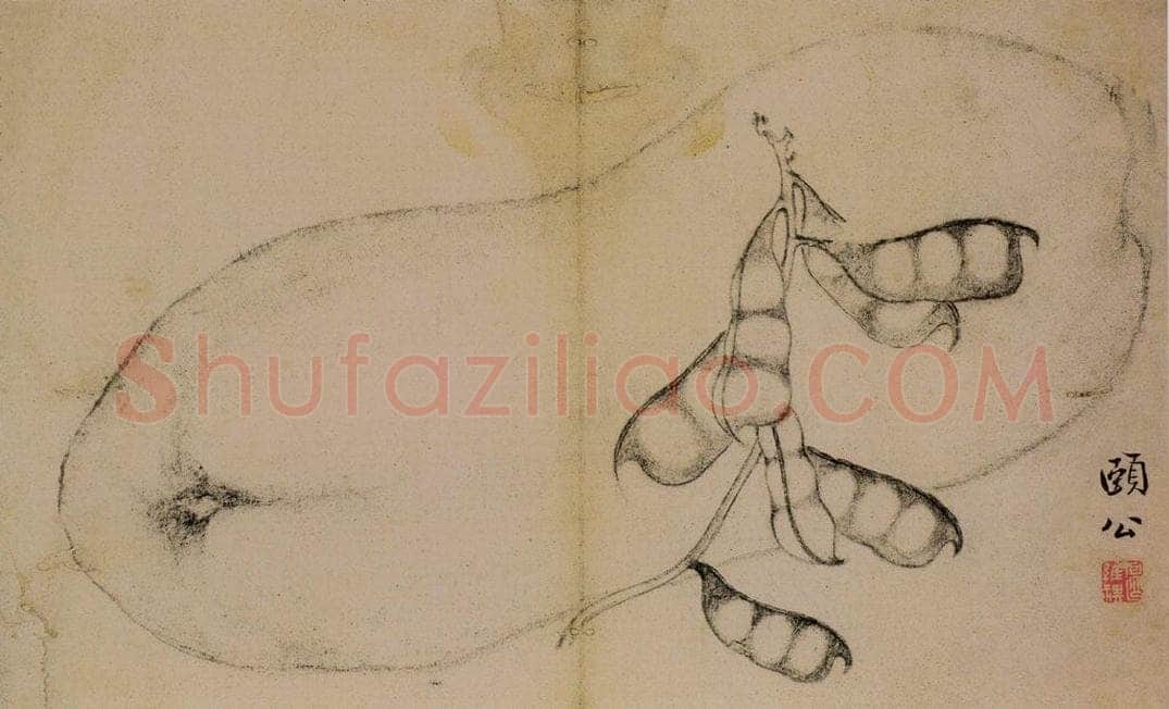 1728年 边寿民 《蔬果册》 书画作品