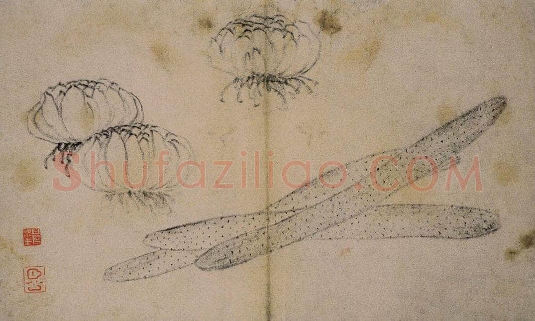 1728年 边寿民 《蔬果册》 书画作品