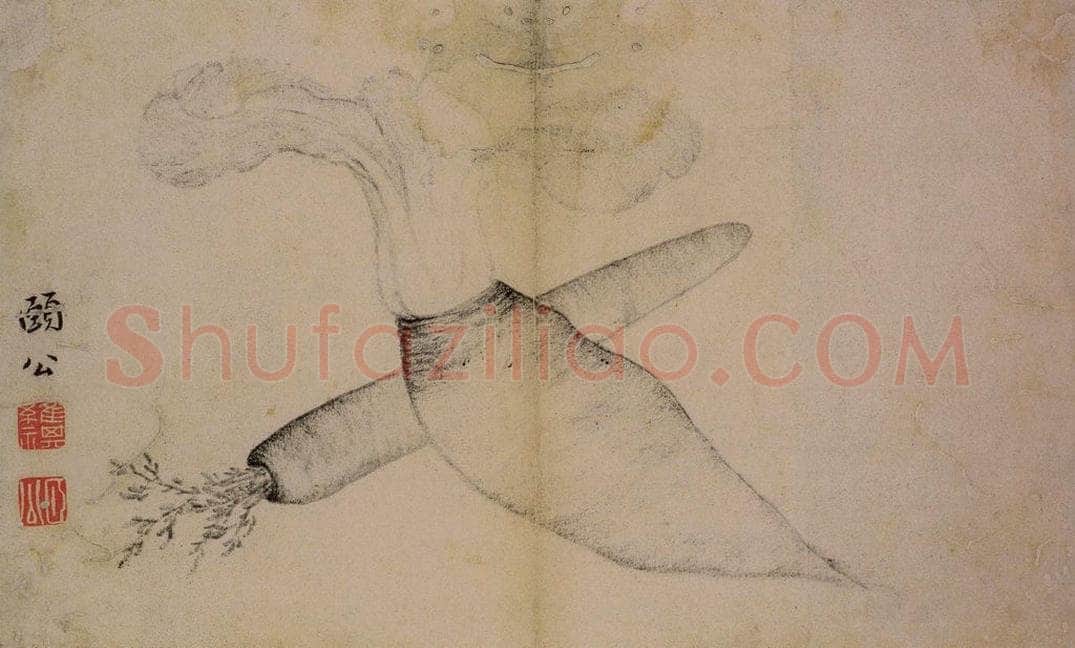 1728年 边寿民 《蔬果册》 书画作品