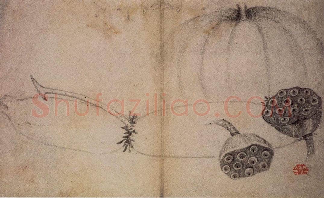 1728年 边寿民 《蔬果册》 书画作品